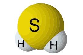 Hydrogen Sulphide