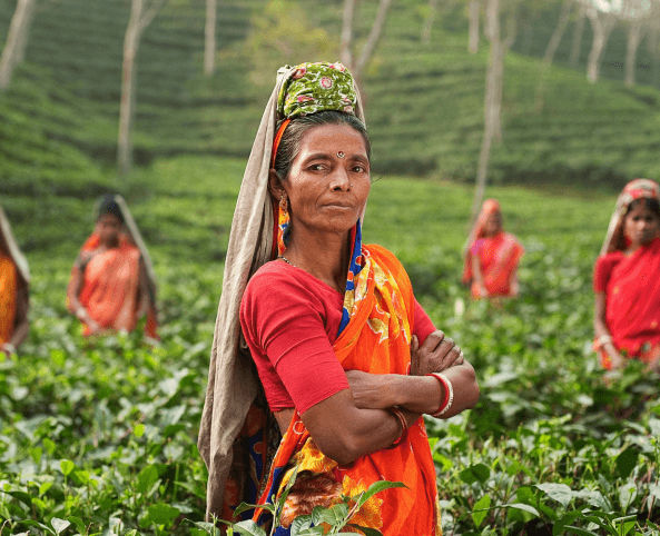 Ecological Farming